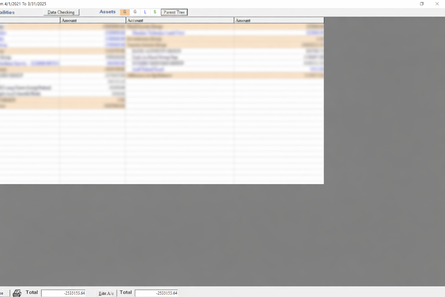 Balance Sheet View